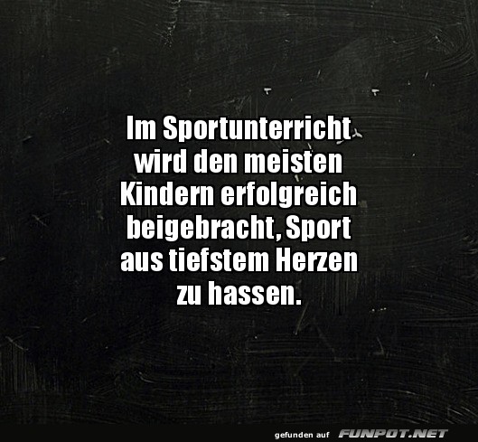 Sportstunde: Der Beginn des Sporthasses!