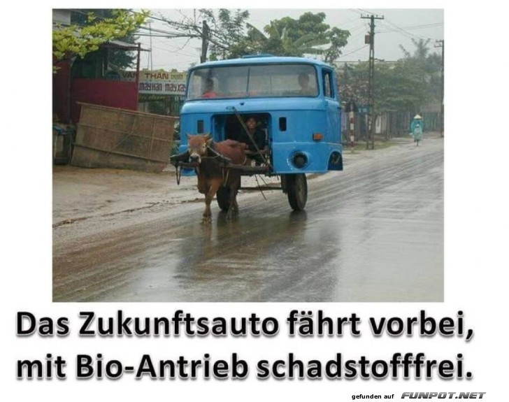 Pferdest�rken neu definiert!