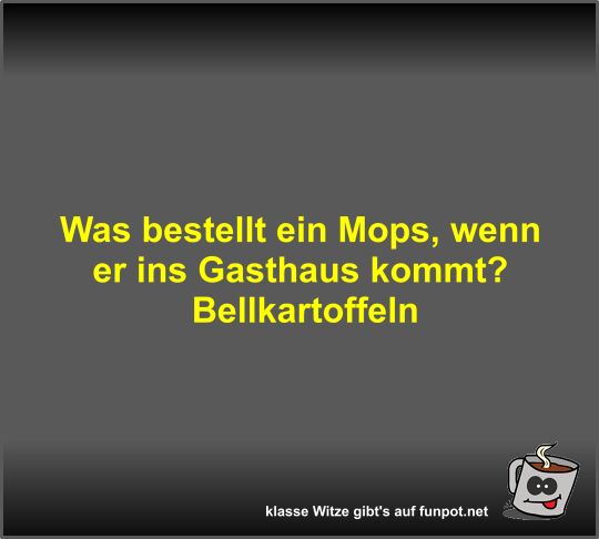 Was bestellt ein Mops