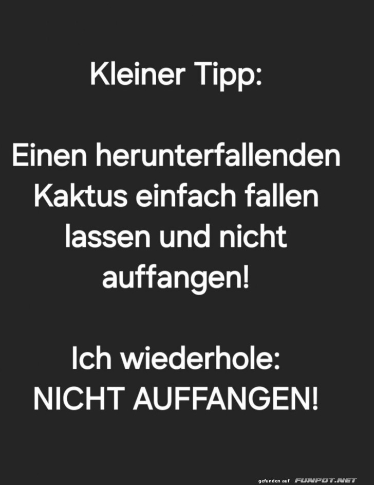 Gef�hrliches Kaktusfangen!