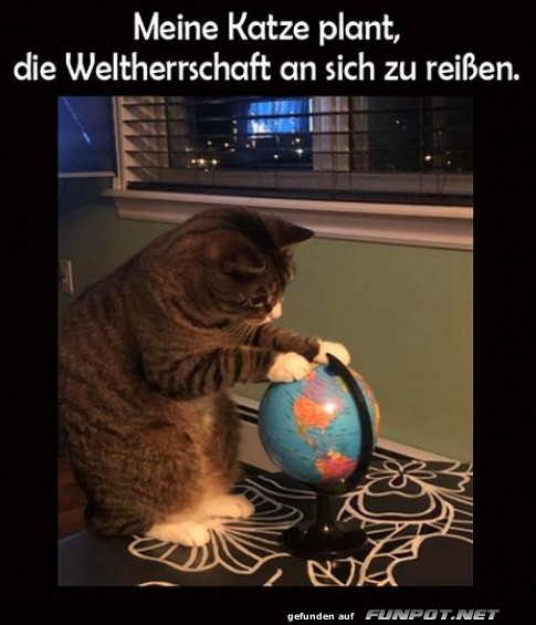 Globale Pl�ne der Katze enth�llt!