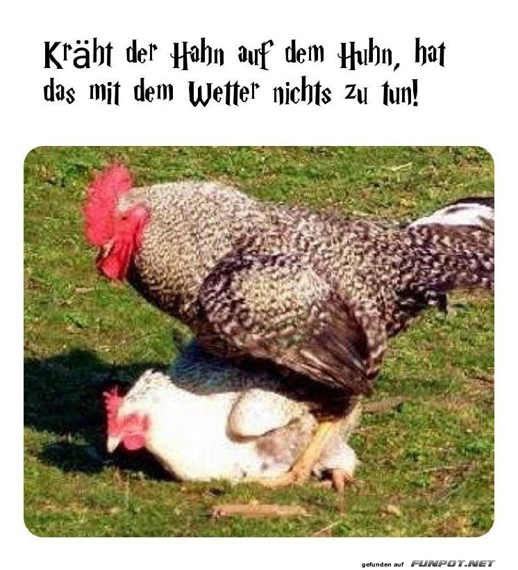 Wetterhahn im Einsatz!