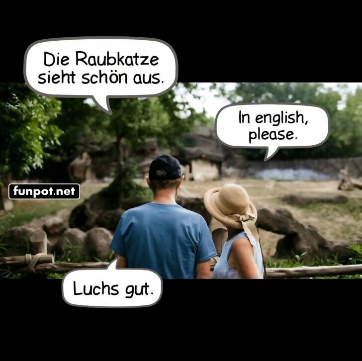 Luchs ins Englische �bersetzt