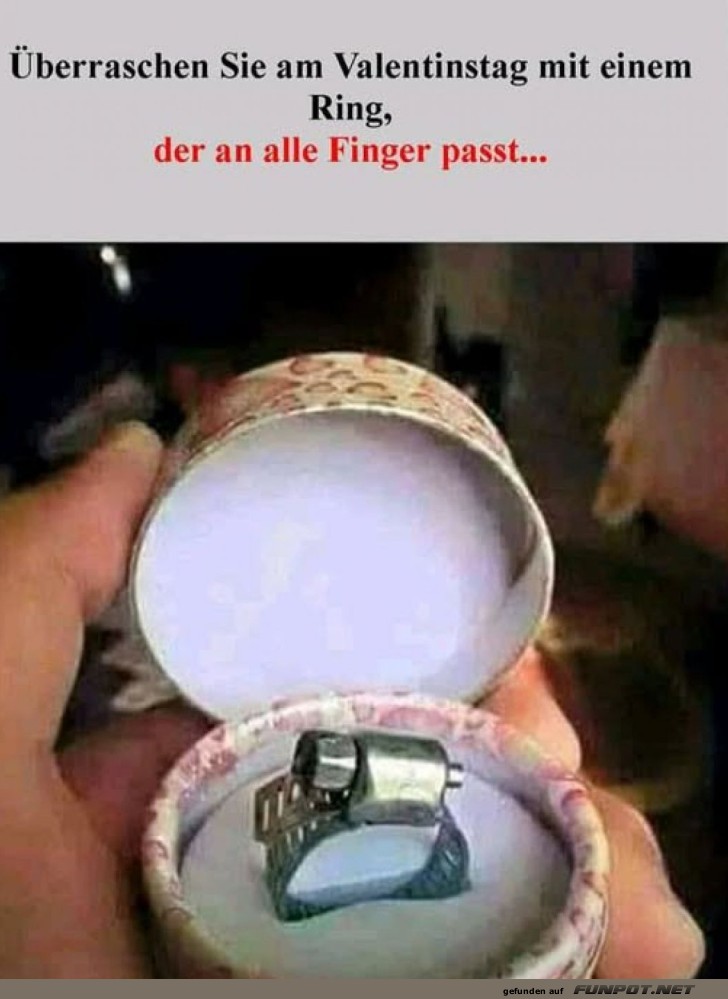 Der Ring f�r jeden Finger!
