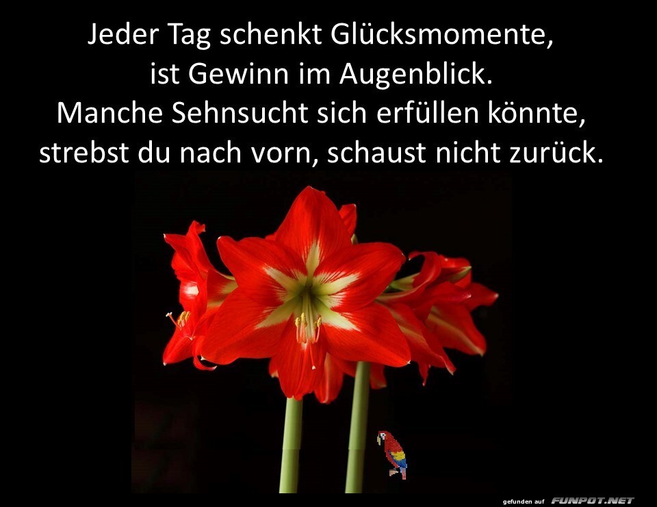 Jeder Tag schenkt Gl�cksmomente