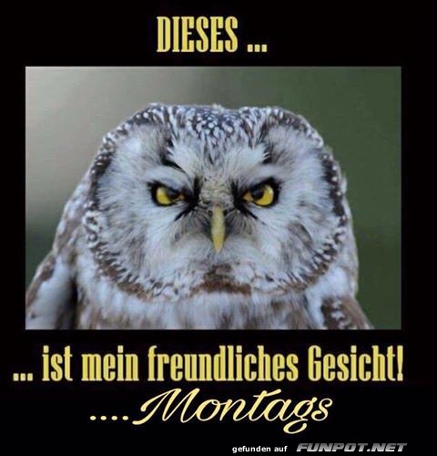 Wenn der Kaffee montags versagt