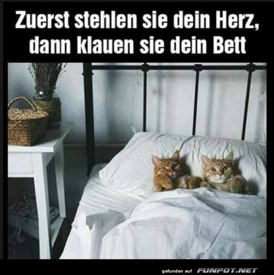 Genau so ist es