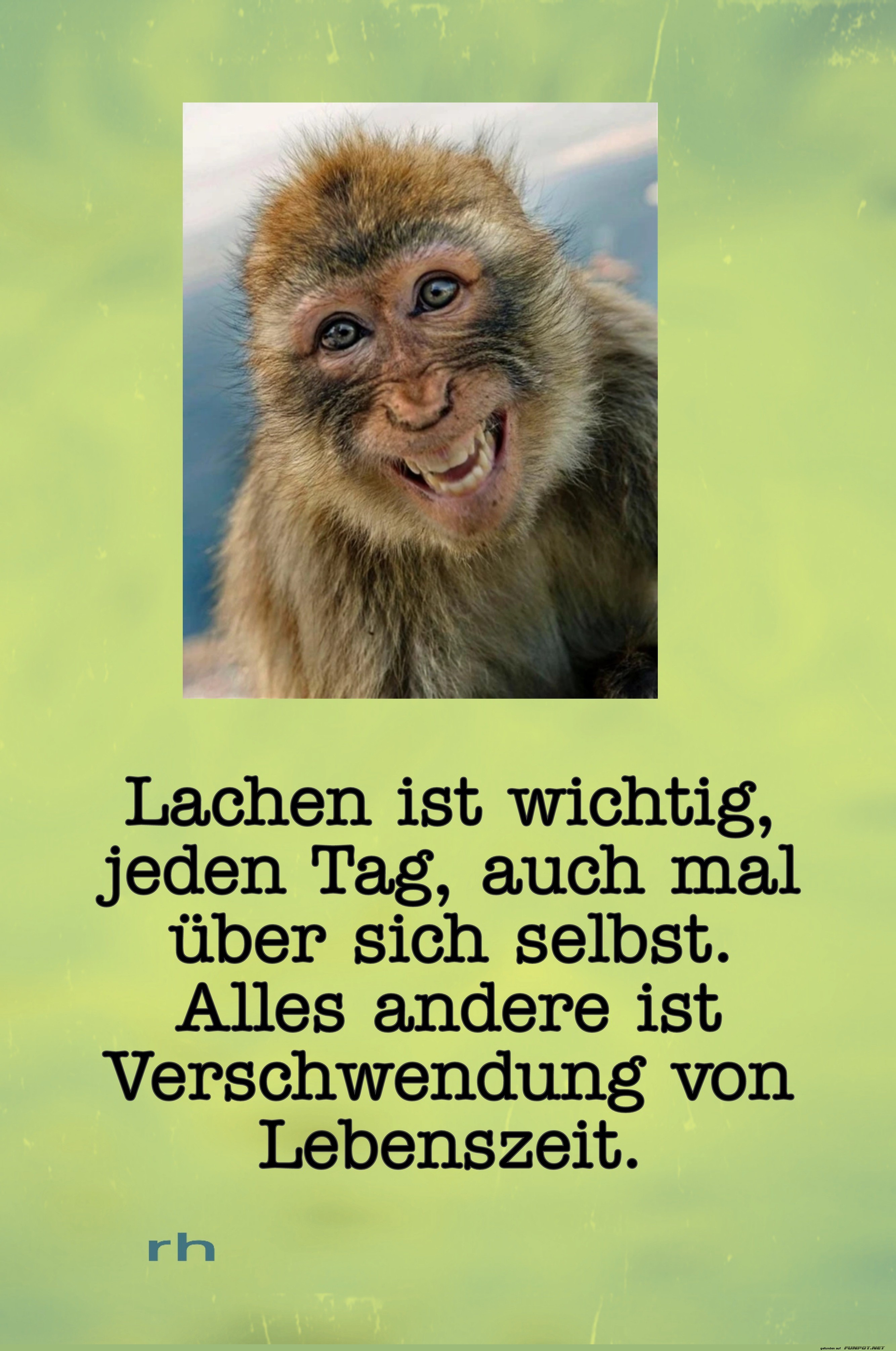 lachen ist wichtig jeden tag
