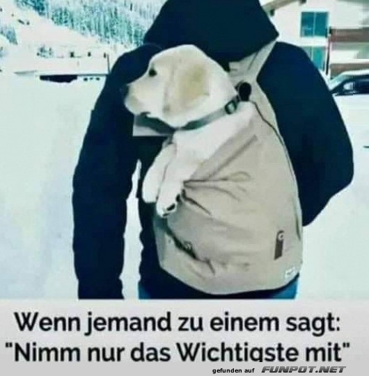 Nur das Wichtigste