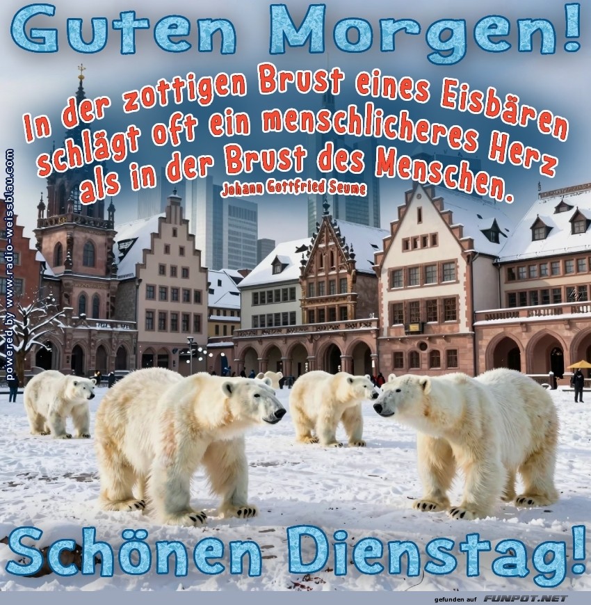 Dienstags-Eisb�ren im Morgengrauen