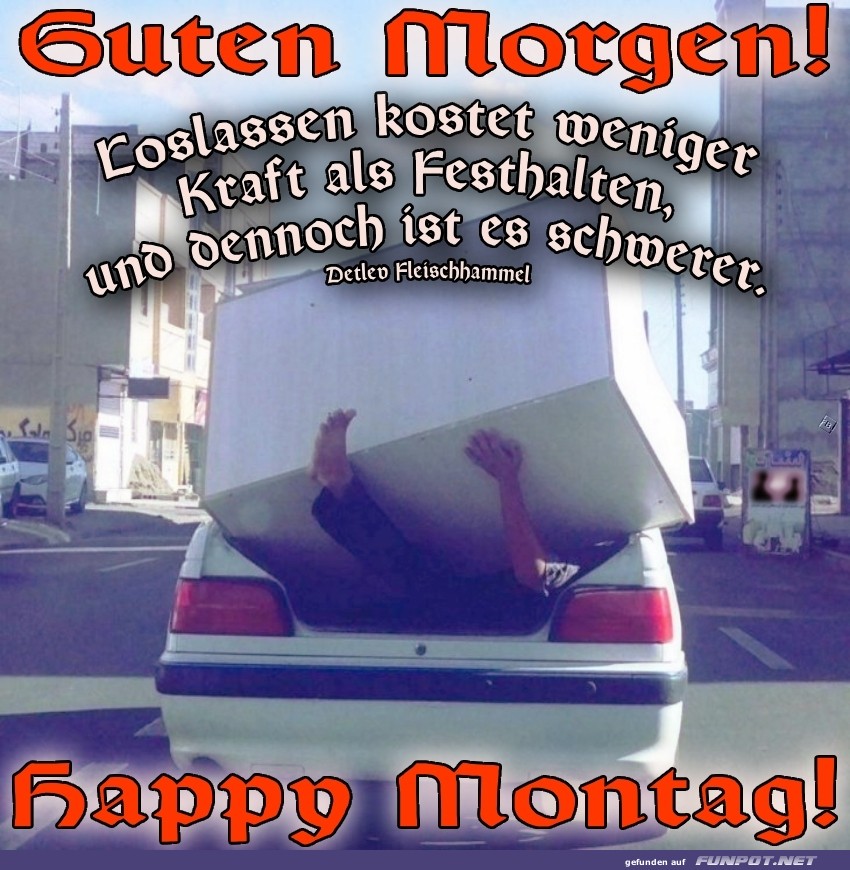 Montagmorgen: Ein wahrer Kraftakt!