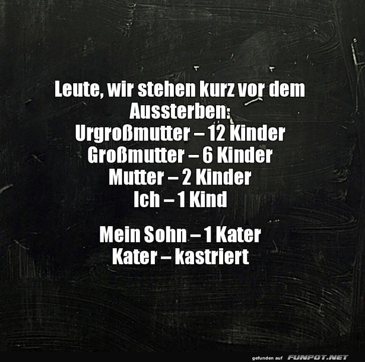 Familienplanung: Start einer Katzenära!