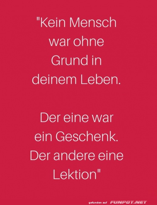 Geschenke und Lektionen des Lebens