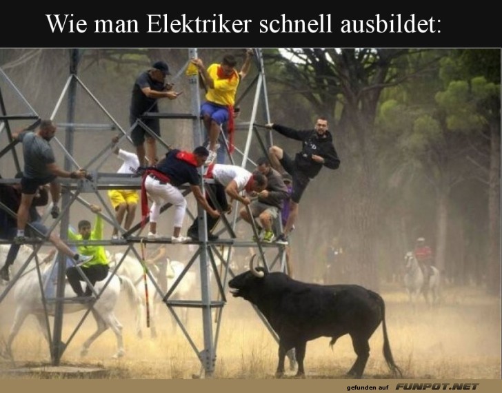 Strommasten-Kletterkurs: Schnell und abenteuerlich!