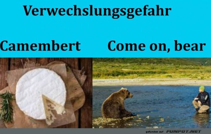 B�r trifft Brie: Wer ist das wahre Original?