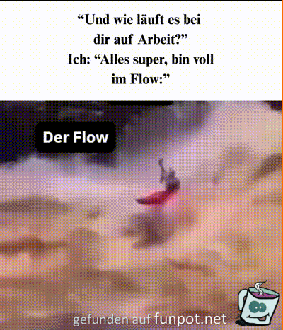 Der Flow Der Flow