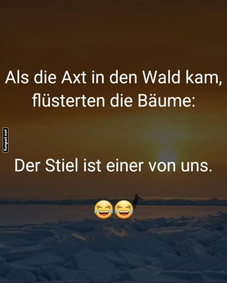 Vertrauensbruch im Wald!