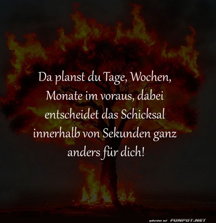 Wenn das Schicksal schneller plant als du!