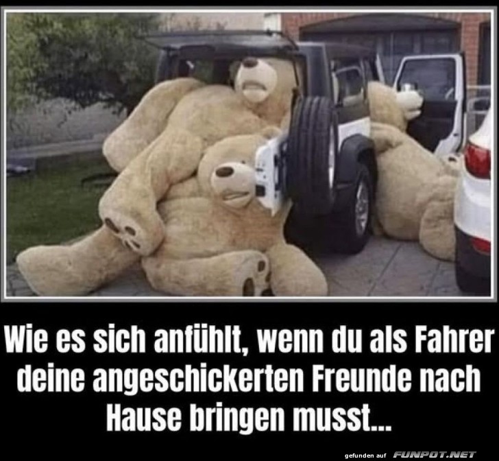 Riesen-B�ren im Auto-Chaos