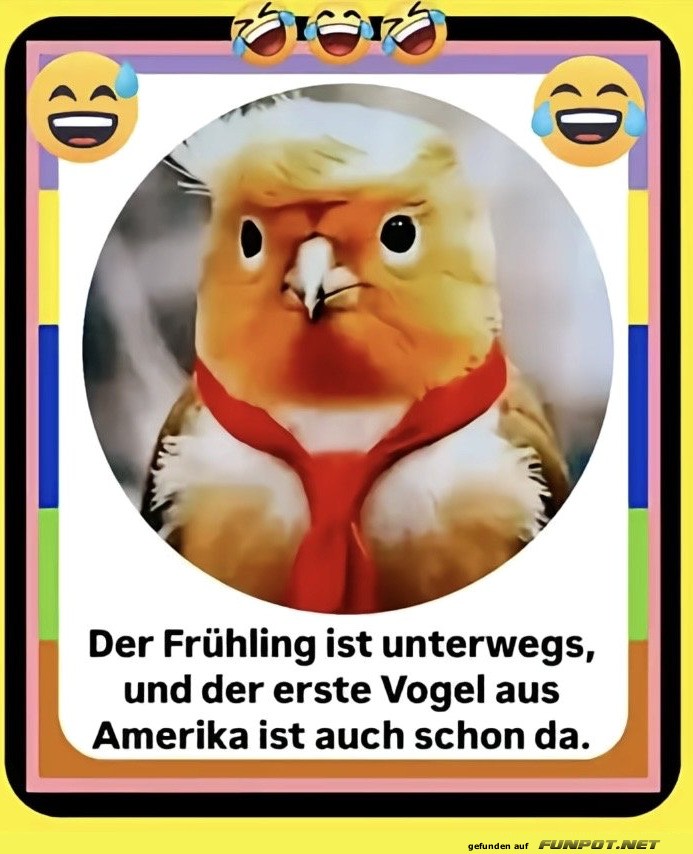 Fr�hlingsvogel mit Business-Look