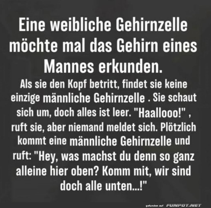 Einzelne Zelle auf Abenteuerreise!