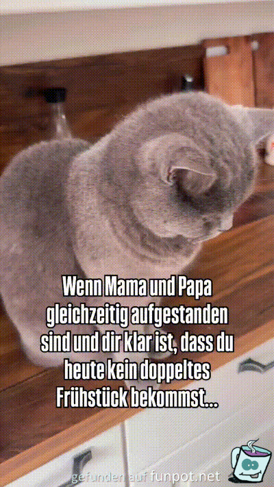 Dumm gelaufen Dumm gelaufen