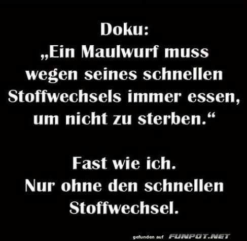 Stoffwechsel des Alltags