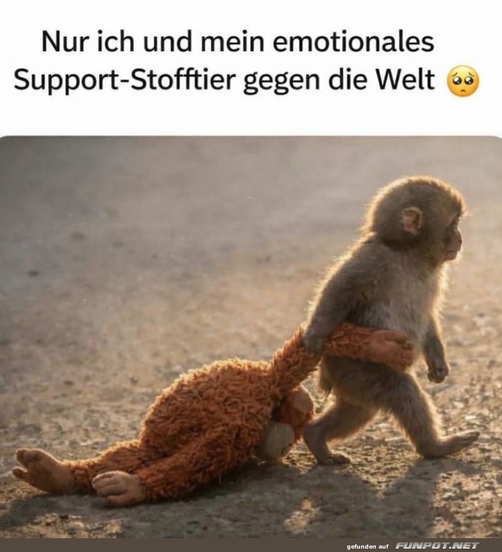 Mein Support-Team und ich auf Abenteuer!