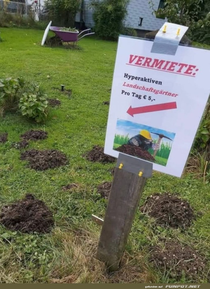 G�rtner mit W�hlmaus-Effizienz zu vermieten!