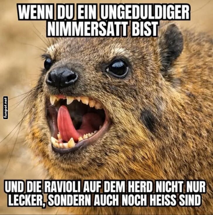 Hei�e Ravioli: Gef�hrliche Wartezeit!