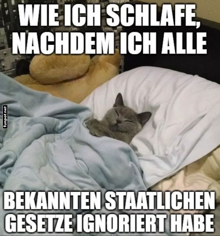 Pflichtbewusster Schlaf-Experte