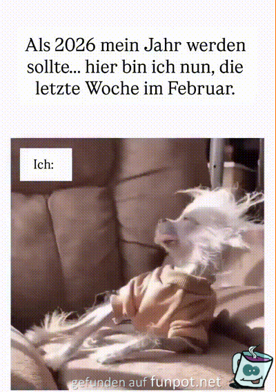 Doch nicht mein Jahr