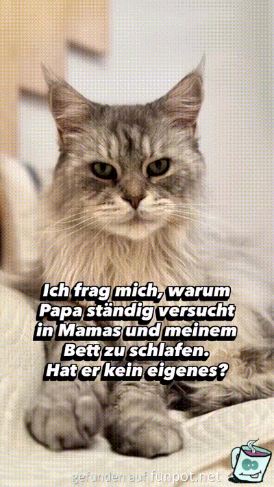 Gute Frage