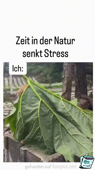 Zeit in der Natur Zeit in der Natur