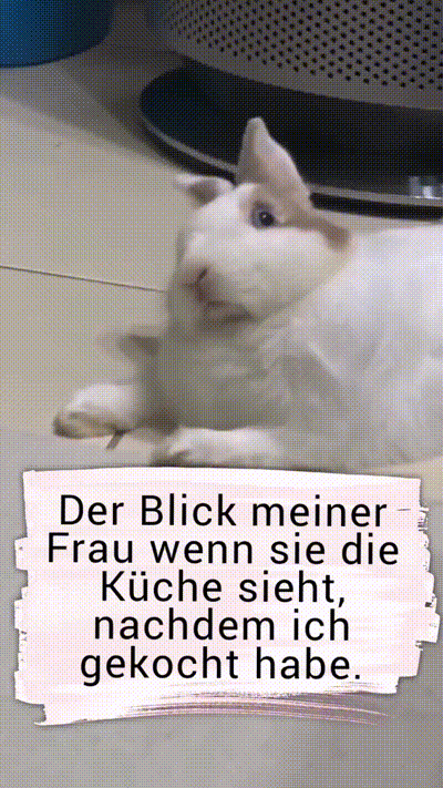 Dieser Blick Dieser Blick