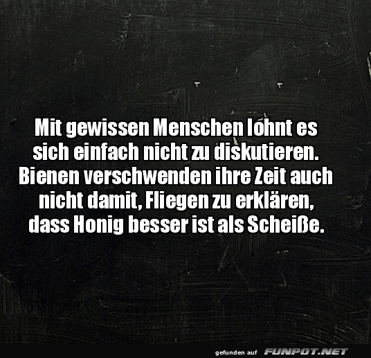 Bienenlogik vs. Diskussionen