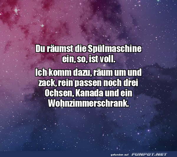 Meister der Sp�lmaschinen-Tetris