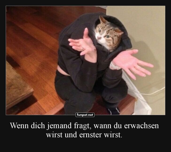 Dieses Katzen-Outfit nie ohne Humor tragen! Dieses Katzen-Outfit nie ohne Humor tragen!