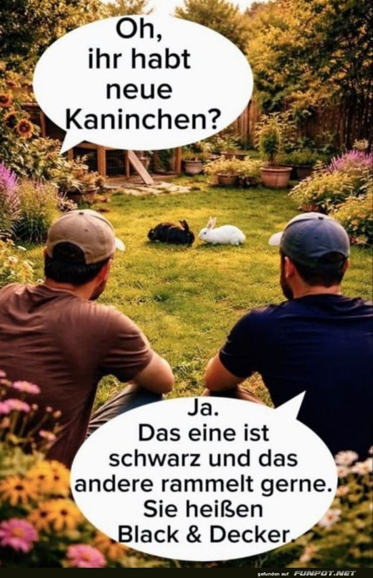 M�belmontage mal anders!