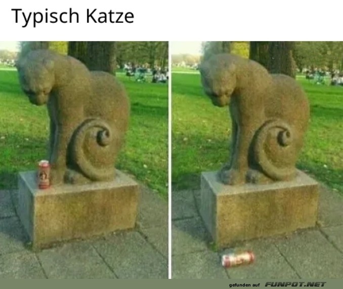 Katze caught in the act!