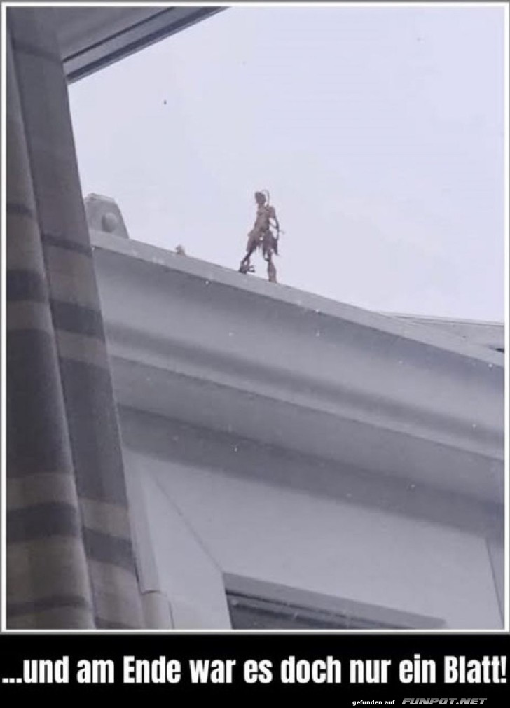 Kleiner Strolch auf gro�er Mission