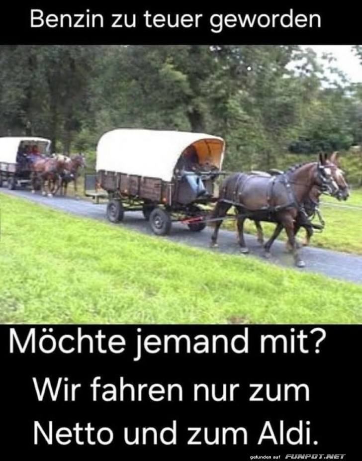 Pferdekutsche gegen Spritpreise