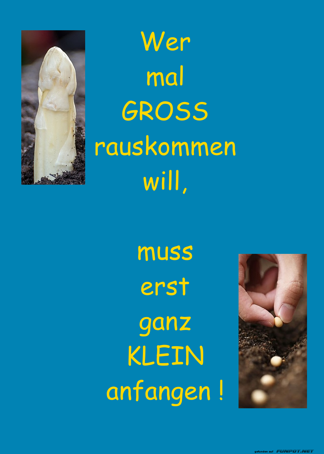 GROSS oder klein ?