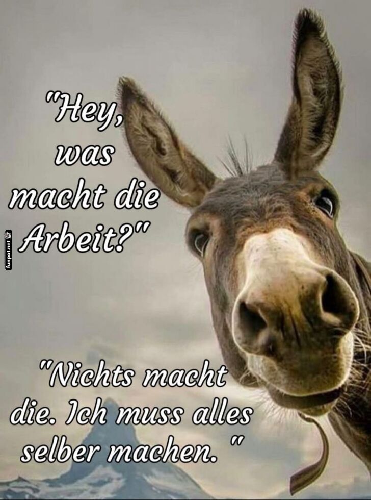 Esel übernimmt die ganze Arbeit!
