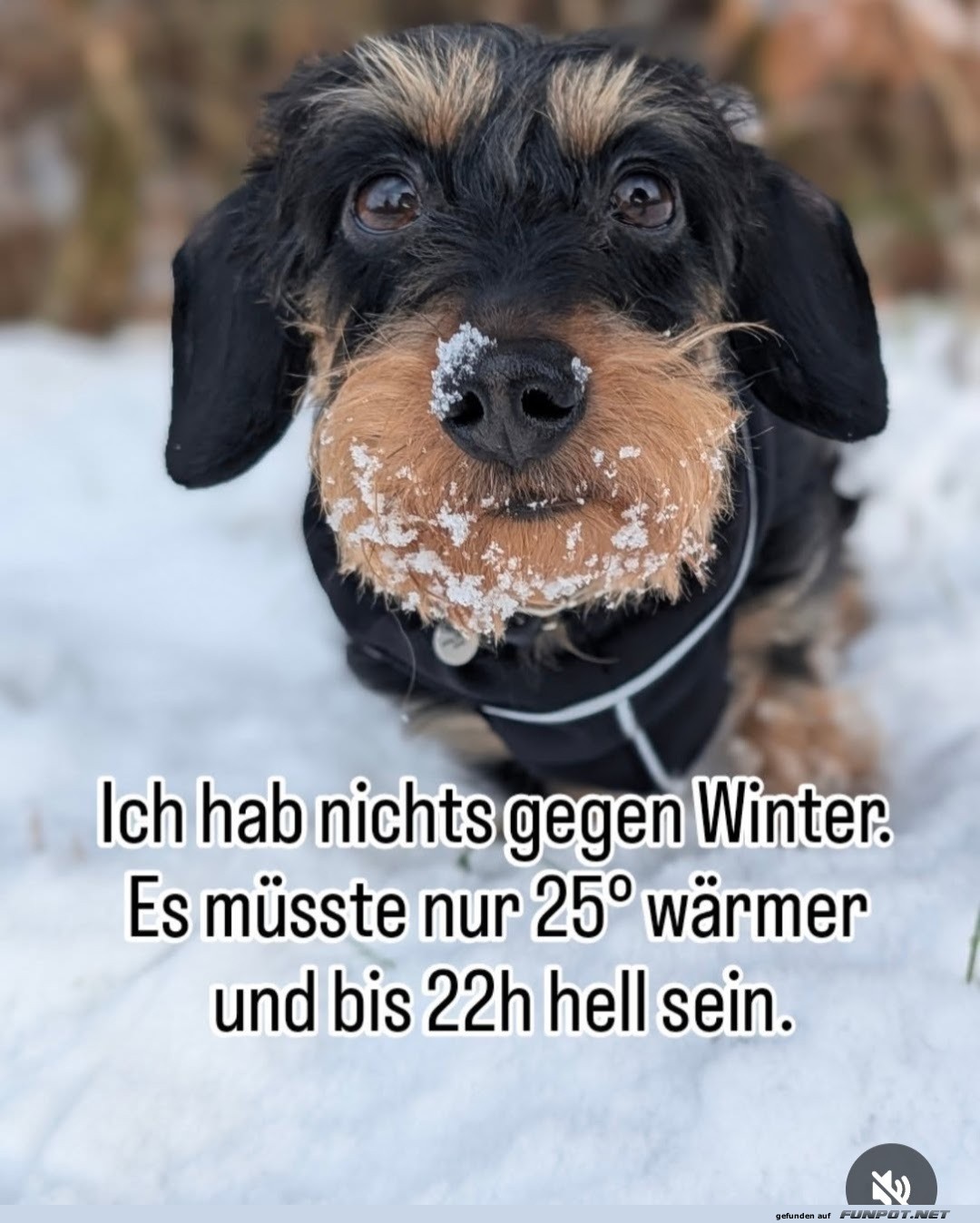 ich hab nichts gegen Winter
