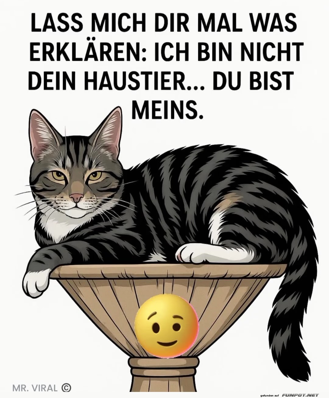 lass dir mal was erkl�ren