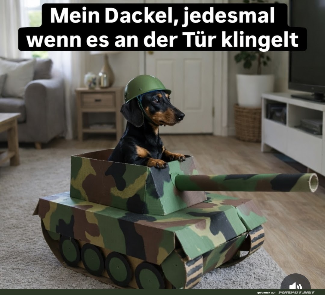 mein dackel..