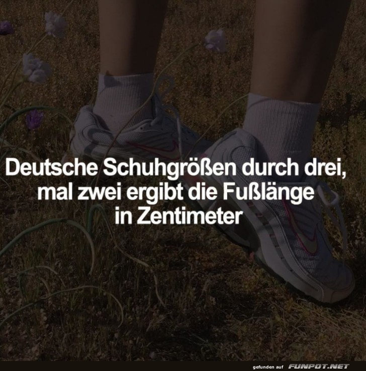 Mathe im Schuhgesch�ft