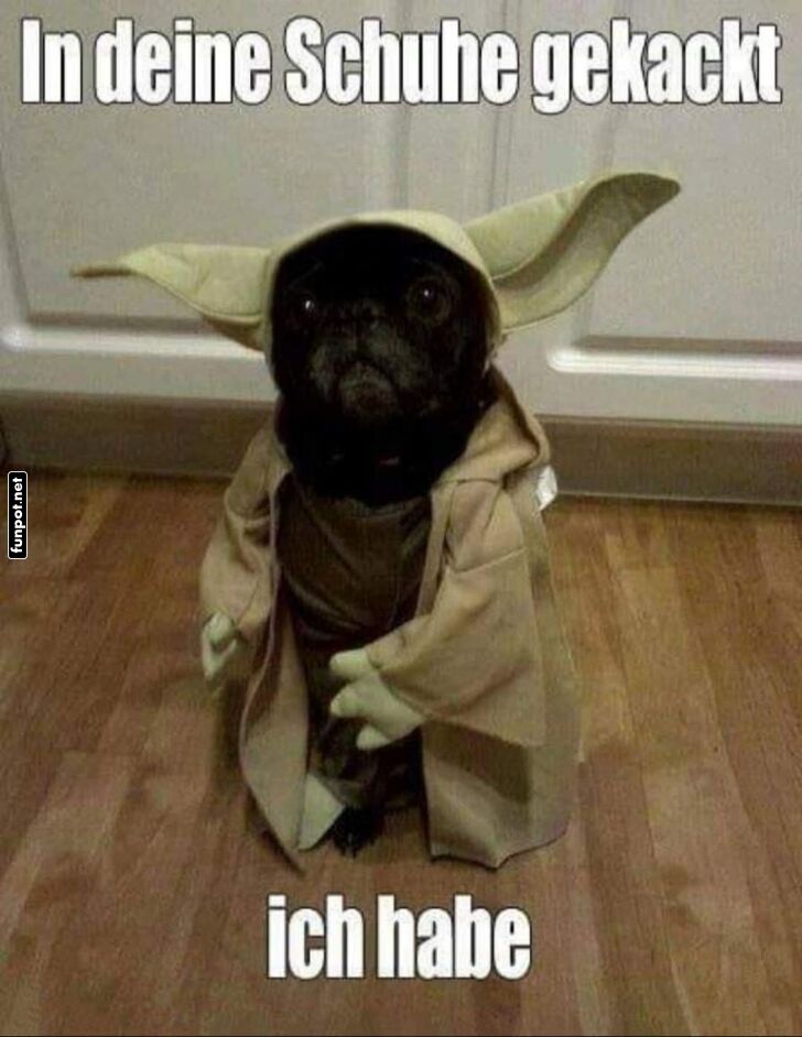 Schock in der Galaxis: Yoda's Urlaubsüberraschung Schock in der Galaxis: Yoda's Urlaubsüberraschung