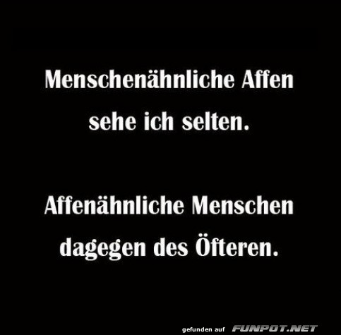 Affen oder Menschen? Die ewige Frage